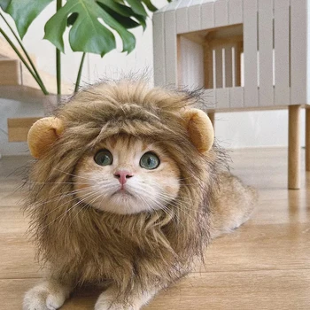 תחפושת חתול חמוד האריה בעל הרעמה הפאה כובע קטן חתולים כלבים המפלגה Cosplay הכובעים חתול הפאה להתלבש בגדים, חיות מחמד אביזרים